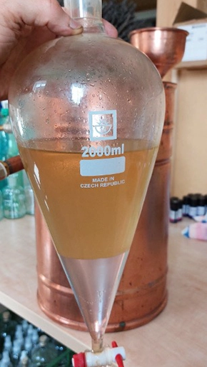 Oddělení výsledných složek po destilaci: esenciálního oleje a hydrolátu.